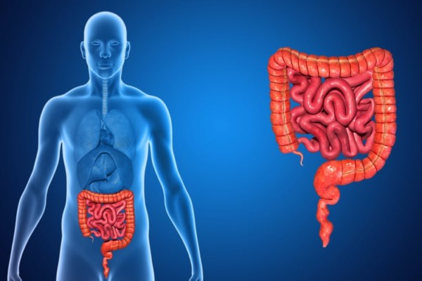 CBD bei Morbus Crohn Schmerzlinderung ganz natürlich!