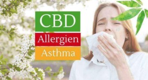 CBD bei Asthma und Allergien