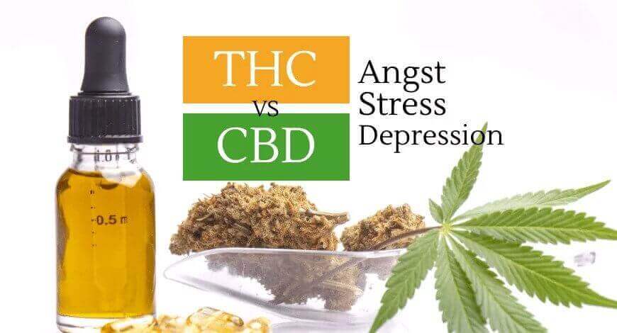 CBD vs THC Cannabisöl Cannabis Grass bei Angst, Depressionen, Stress