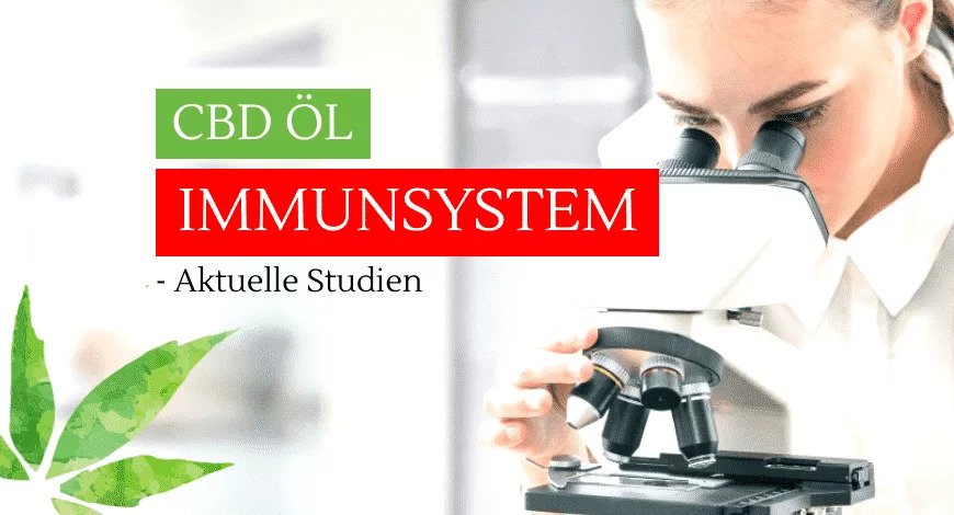 Cannabis, CBD Öl und das Immunsystem - aktuelle Studienlage