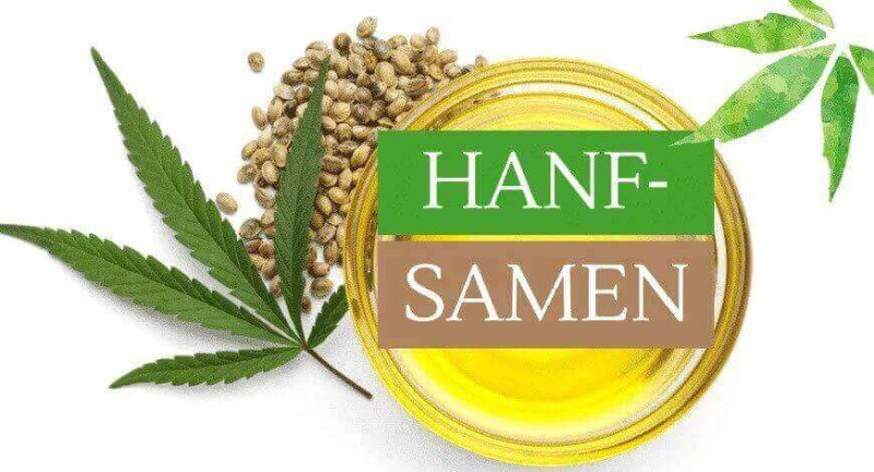Hanfsamen & ihre Superkräfte: 5 wissenschaftliche Fakten