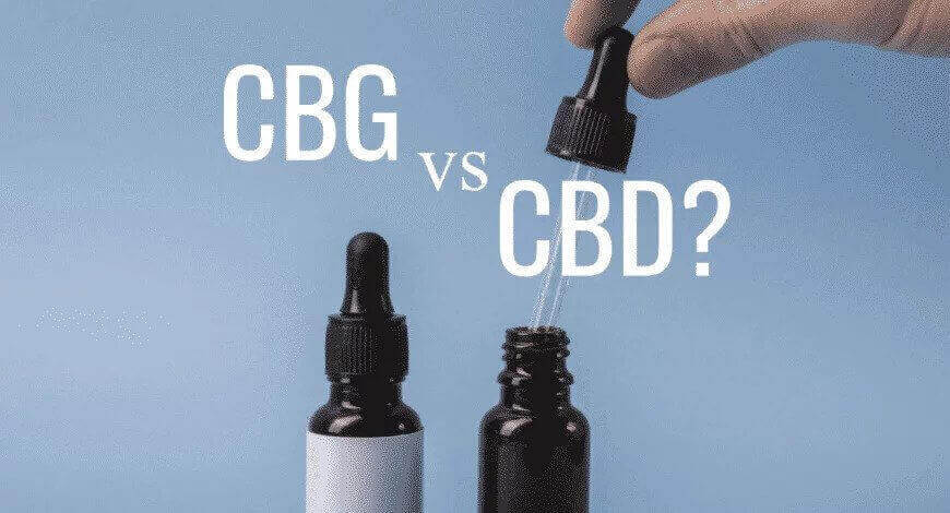Was ist besser, CBG Öl oder CBD Öl?
